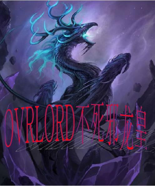 OVRLORD不死邪龙皇